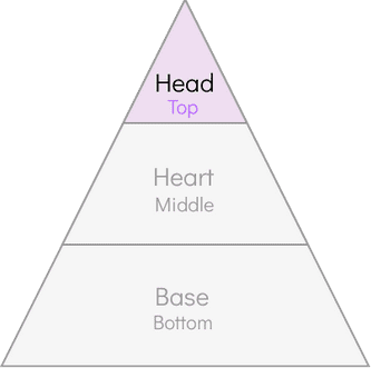 Head