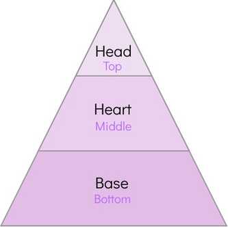 Fragrance Pyramid