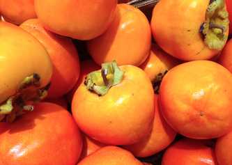Persimmon