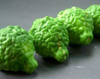 Bergamot