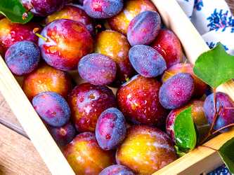 Plum