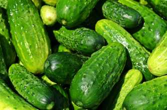 Cucumber