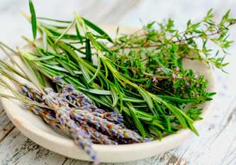 Woods Herb